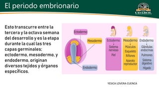 DE LA TERCERA A OCTAVA SEMANA.pptx