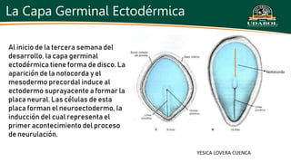 DE LA TERCERA A OCTAVA SEMANA diapositivas.pptx