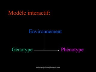 Modèle interactif:


        Environnement


 Génotype                                 Phénotype


            aminebenjel...