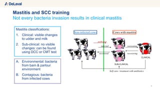 A. Environmental: bacteria
from barn & parlour
environment
B. Contagious: bacteria
from infected cows
4
Not every bacteria invasion results in clinical mastitis
Mastitis and SCC training
CLINICAL
SUB-CLINICAL
infected
recovered
Non-infected cows Cows with mastitis
worsening
recovering
Self-cure / treatment with antibiotics
pathogen
Mastitis classifications:
1. Clinical: visible changes
to udder and milk
2. Sub-clinical: no visible
changes: can be found
using DCC or CMT test
 