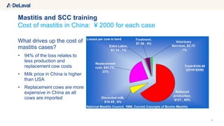 6
Cost of mastitis in China: ¥ 2000 for each case
Mastitis and SCC training
What drives up the cost of
mastitis cases?
• 94% of the loss relates to
less production and
replacement cow costs
• Milk price in China is higher
than USA
• Replacement cows are more
expensive in China as all
cows are imported
 