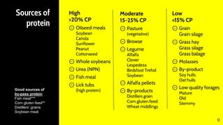 Sources of
protein
High
>20% CP
⊙ Oilseed meals
Soybean
Canola
Sunflower
Peanut
Cottonseed
⊙ Whole soybeans
⊙ Urea (NPN)
⊙ Fish meal
⊙ Lick tubs
(high protein)
Moderate
15-25% CP
⊙ Pasture
(vegetative)
⊙ Browse
⊙ Legume
Alfalfa
Clover
Lespedeza
Birdsfoot Trefoil
Soybean
⊙ Alfalfa pellets
⊙ By-products
Distillers grain
Corn gluten feed
Wheat middlings
Low
<15% CP
⊙ Grain
Grain silage
⊙ Grass hay
Grass silage
Grass balage
⊙ Molasses
⊙ By-product
Soy hulls
Oat hulls
⊙ Low quality forages
Mature
Old
Stemmy
12
Good sources of
by-pass protein
Fish meal***
Corn gluten feed**
Distillers’ grains
Soybean meal
 