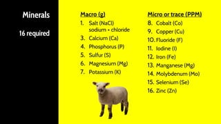 Minerals
16 required
Macro (g)
1. Salt (NaCl)
sodium + chloride
3. Calcium (Ca)
4. Phosphorus (P)
5. Sulfur (S)
6. Magnesium (Mg)
7. Potassium (K)
Micro or trace (PPM)
8. Cobalt (Co)
9. Copper (Cu)
10. Fluoride (F)
11. Iodine (I)
12. Iron (Fe)
13. Manganese (Mg)
14. Molybdenum (Mo)
15. Selenium (Se)
16. Zinc (Zn)
 