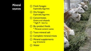 Mineral
sources
⊙ Fresh forages
Especially legumes
⊙ Dry forages
Especially legumes
⊙ Concentrates
Grains and oilseeds
* high P - low Ca
⊙ By-product feeds
* Mineral content varies
⊙ Trace mineral salt
⊙ Complete mineral mixes
⊙ Mineral supplements
e.g. limestone
⊙ Water
15
 