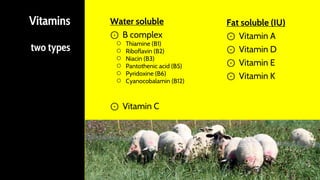 Vitamins
two types
Water soluble
⊙ B complex
○ Thiamine (B1)
○ Riboflavin (B2)
○ Niacin (B3)
○ Pantothenic acid (B5)
○ Pyridoxine (B6)
○ Cyanocobalamin (B12)
⊙ Vitamin C
Fat soluble (IU)
⊙ Vitamin A
⊙ Vitamin D
⊙ Vitamin E
⊙ Vitamin K
 