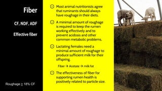 Fiber
CF, NDF, ADF
Effective fiber
⊙ Most animal nutritionists agree
that ruminants should always
have roughage in their diets.
⊙ A minimal amount of roughage
is required to keep the rumen
working effectively and to
prevent acidosis and other
common metabolic problems.
⊙ Lactating females need a
minimal amount of roughage to
produce sufficient milk for their
offspring.
Fiber  Acetate  milk fat
⊙ The effectiveness of fiber for
supporting rumen health is
positively related to particle size.
20
Roughage > 18% CF
 