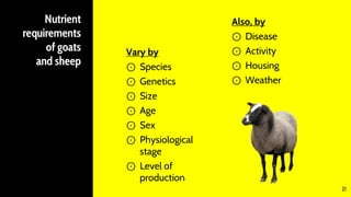 Nutrient
requirements
of goats
and sheep
Vary by
⊙ Species
⊙ Genetics
⊙ Size
⊙ Age
⊙ Sex
⊙ Physiological
stage
⊙ Level of
production
Also, by
⊙ Disease
⊙ Activity
⊙ Housing
⊙ Weather
21
 