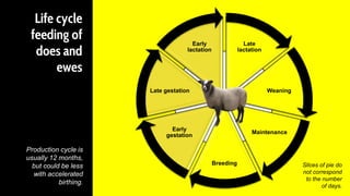 Life cycle
feeding of
does and
ewes
Late
lactation
Weaning
Maintenance
Breeding
Early
gestation
Late gestation
Early
lactation
Production cycle is
usually 12 months,
but could be less
with accelerated
birthing.
Slices of pie do
not correspond
to the number
of days.
 