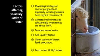 Factors
affecting
voluntary
intake of
water
7
⊙ Physiological stage of
animal; pregnant and
especially lactating females
have highest requirement.
⊙ Climate: intake increases
substantially when temps
are above 70F.
⊙ Temperature of water
⊙ Anti-quality factors
⊙ Other sources of water:
feed, dew, snow.
⊙ Feed intake  H20 intake
 