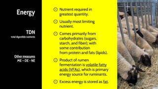 Energy
TDN
total digestible nutrients
Other measures
ME – DE - NE
⊙ Nutrient required in
greatest quantity.
⊙ Usually most limiting
nutrient.
⊙ Comes primarily from
carbohydrates (sugars,
starch, and fiber); with
some contribution
from protein and fats (lipids).
⊙ Product of rumen
fermentation is volatile fatty
acids (VFAs), which is primary
energy source for ruminants.
⊙ Excess energy is stored as fat.
8
 