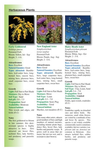 Herbaceous Plants




Early Goldenrod                 New England Aster                  Hairy Heath Aster
Solidago juncea                 Symphyotrichum                     Symphyotrichum pilosum
Perennial Forb                  novae-angliae                      Perennial Forb
Bloom: Yellow, Jul - Sep        Perennial Forb                     Bloom: White, Sep - Oct
Height: 3 - 4 ft.               Bloom: Purple, Aug - Sep           Height: 2 - 5 ft.
                                Height: 2 - 6 ft.                  Attractiveness
Attractiveness                                                     Bees: Excellent
Bees: Excellent                 Attractiveness                     Natural Enemies: Excellent
Natural Enemies: Good           Bees: Good                         Types attracted: Bumble-
Types attracted: Bumble-        Natural Enemies: Excellent         bees, leaf-cutter bees, long-
bees, leaf-cutter bees, long-   Types attracted: Bumble            horned bees, mining bees,
horned bees, mason bees,        bees, large carpenter bees,        plasterer bees, small carpenter
mining bees, plasterer bees,    leaf-cutter bees, long-horned      bees, sweat bees
small carpenter bees, sweat     bees, mining bees, small           Growth
bees                            carpenter bees, sweat bees         Light: Full Sun to Part Shade
                                                                   Moisture: Dry to Moist
Growth                          Growth                             Soil Type: Clay, Loam, Sand
Light: Full Sun to Part Shade   Light: Full Sun to Part Shade      Soil pH: 5.4 – 7.0

                                                                   Availability: Limited
Moisture: Dry to Moist          Moisture: Moist                    Propagation: Seed
Soil Type: Sand                 Soil Type: Loam
                                Soil pH: 5.5 – 7.0                 Natural habitat:
Soil pH: 5.0 – 7.5
                                                                   Fields, open woods, roadsides
Propagation: Seed               Propagation: Seed, Plug
                                                                   (P, C)
Availability: Moderate          Availability: Good
Natural habitat:                Natural habitat:                   Notes
Thin woods and edges, old       Marshes, wet meadows (P, C)        Establishes rapidly on disturbed
fields (P, C)                                                      sites and fallow fields. The
                                Notes                              numerous small white flowers
Notes                           Like many other asters, attracts   are visited by a multitude of bee
The first goldenrod to bloom    good numbers of bees and high      and hover fly species. This
in late summer, this deer-      numbers of natural enemies,        species is not widely available
                                including minute pirate bugs,      commercially (seed is sometimes
resistant species is highly
                                dance flies, hover flies, lady     available), but two varieties (var.
attractive to bees.     Also    beetles and parasitic wasps. It    pilosum and var. demotus) are
attracted are hover flies,      grows well in areas that are       common in Delaware. Also
tachinid flies, lady beetles,   moist, but not too wet, and is     attracts tachinid flies, soldier
and predatory and parasitic     resistant to deer browse.          beetles, and predatory and
wasps.                                                             parasitic wasps.
                                              12
 