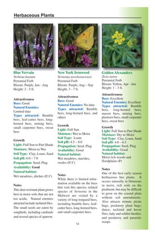 Herbaceous Plants




Blue Vervain                        New York Ironweed                  Golden Alexanders
Verbena hastata                     Vernonia noveboracensis            Zizia aurea
Perennial Forb                      Perennial Forb                     Perennial Forb
Bloom: Purple, Jun - Aug            Bloom: Purple, Aug – Sep           Bloom: Yellow, Apr - Jun
Height: 2 - 5 ft.                   Height: 3 - 7 ft.                  Height: 1 - 3 ft.
                                                                       Attractiveness
                                    Attractiveness
Attractiveness                                                         Bees: Excellent
                                    Bees: Good                         Natural Enemies: Excellent
Bees: Good                          Natural Enemies: No data
Natural Enemies:                                                       Types attracted: Bumble
                                    Types attracted: Bumble            bees, long-horned bees,
Limited data
                                    bees, long-horned bees, and        mason bees, mining bees,
Types attracted: Bumble
                                    others                             plasterer bees, small carpenter
bees, leaf-cutter bees, long-                                          bees, sweat bees
horned bees, mining bees,
                                    Growth
small carpenter bees, sweat                                            Growth
                                    Light: Full Sun                    Light: Full Sun to Part Shade
bees
                                    Moisture: Wet to Moist             Moisture: Dry to Moist
                                    Soil Type: Loam                    Soil Type: Clay, Loam, Sand
Growth
                                    Soil pH: 4.5 – 8.0                 Soil pH: 4.0 – 6.5
Light: Full Sun to Part Shade       Propagation: Seed, Plug            Propagation: Seed, Plug
Moisture: Moist to Wet              Availability: Good                 Availability: Good
Soil Type: Clay, Loam, Sand         Natural habitat:                   Natural habitat:
Soil pH: 6.0 – 7.0                  Wet meadows, marshes,              Moist rich woods and
                                    swales (P, C)                      floodplains (P)
Propagation: Seed, Plug
Availability: Good
                                                                       Notes
Natural habitat:                                                       One of the best early season
Wet meadows, ditches (P, C)         Notes
                                                                       herbaceous bee plants. It
                                    While there is limited infor-
                                                                       occurs naturally in Delaware
                                    mation available on the bees
Notes                                                                  in moist, rich soils on the
                                    that visit this species, related
This deer-resistant plant grows                                        piedmont, but may be difficult
                                    species of Vernonia in the
best in moist soils that are not                                       to grow on the coastal plain
                                    Midwest are visited by a
too acidic. Natural enemies                                            without soil amendments.
                                    variety of long-tongued bees,
attracted include tachinid flies.                                      Also attracts minute pirate
                                    including bumble bees, leaf-
                                                                       bugs, predatory plant bugs;
The small seeds are eaten by        cutter bees, long-horned bees,
                                                                       dance, tachinid and hover
songbirds, including cardinals      and small carpenter bees.          flies; lady and soldier beetles;
and several species of sparrow.                                        and predatory and parasitic
                                                                       wasps.
                                                  13
 