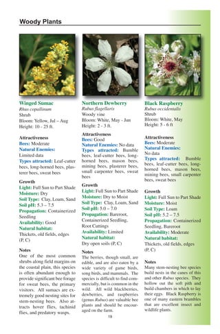 Woody Plants




Winged Sumac                      Northern Dewberry                   Black Raspberry
Rhus copallinum                   Rubus flagellaris                   Rubus occidentalis
Shrub                             Woody vine                          Shrub
Bloom: Yellow, Jul – Aug          Bloom: White, May - Jun             Bloom: White, May
Height: 10 - 25 ft.               Height: 2 - 3 ft.                   Height: 5 - 6 ft

                                  Attractiveness
Attractiveness                    Bees: Good                          Attractiveness
Bees: Moderate                    Natural Enemies: No data            Bees: Moderate
Natural Enemies:                  Types attracted: Bumble             Natural Enemies:
Limited data                      bees, leaf-cutter bees, long-       No data
                                  horned bees, mason bees,            Types attracted: Bumble
Types attracted: Leaf-cutter
                                  mining bees, plasterer bees,        bees, leaf-cutter bees, long-
bees, long-horned bees, plas-                                         horned bees, mason bees,
terer bees, sweat bees            small carpenter bees, sweat
                                  bees                                mining bees, small carpenter
Growth                                                                bees, sweat bees
                                  Growth
Light: Full Sun to Part Shade
                                  Light: Full Sun to Part Shade       Growth
Moisture: Dry
                                  Moisture: Dry to Moist              Light: Full Sun to Part Shade
Soil Type: Clay, Loam, Sand
                                  Soil Type: Clay, Loam, Sand         Moisture: Moist
Soil pH: 5.3 – 7.5
                                  Soil pH: 5.0 – 7.0                  Soil Type: Loam
Propagation: Containerized
                                  Propagation: Bareroot,              Soil pH: 5.2 – 7.5
Seedling
                                  Containerized Seedling,             Propagation: Containerized
Availability: Good
                                  Root Cuttings                       Seedling, Bareroot
Natural habitat:
                                  Availability: Limited               Availability: Moderate
Thickets, old fields, edges
                                  Natural habitat:                    Natural habitat:
(P, C)
                                  Dry open soils (P, C)               Thickets, old fields, edges
Notes                             Notes                               (P, C)
One of the most common            The berries, though small, are
shrubs along field margins on     edible, and are also eaten by a     Notes
the coastal plain, this species   wide variety of game birds,         Many stem-nesting bee species
is often abundant enough to       song birds, and mammals. The        build nests in the canes of this
provide significant bee forage    species is difficult to find com-   and other Rubus species. They
for sweat bees, the primary       mercially, but is common in the     hollow out the soft pith and
visitors. All sumacs are ex-      wild. All wild blackberries,        build chambers in which to lay
tremely good nesting sites for    dewberries, and raspberries         their eggs. Black Raspberry is
stem-nesting bees. Also at-       (genus Rubus) are valuable bee      one of many eastern brambles
                                  plants and should be encour-        that are excellent insect and
tracts hover flies, tachinid
                                  aged on the farm.                   wildlife plants.
flies, and predatory wasps.
                                                 19
 