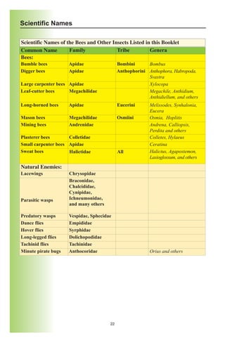 Scientific Names

Scientific Names of the Bees and Other Insects Listed in this Booklet
Common Name          Family              Tribe          Genera
Bees:
Bumble bees          Apidae                 Bombini      Bombus
Digger bees          Apidae                 Anthophorini Anthophora, Habropoda,
                                                         Svastra
Large carpenter bees Apidae                              Xylocopa
Leaf-cutter bees     Megachilidae                        Megachile, Anthidium,
                                                         Anthidiellum, and others
Long-horned bees     Apidae                 Eucerini      Melissodes, Synhalonia,
                                                          Eucera
Mason bees           Megachilidae           Osmiini       Osmia, Hoplitis
Mining bees          Andrenidae                           Andrena, Calliopsis,
                                                          Perdita and others
Plasterer bees       Colletidae                           Colletes, Hylaeus
Small carpenter bees Apidae                               Ceratina
Sweat bees           Halictidae             All           Halictus, Agapostemon,
                                                          Lasioglossum, and others

Natural Enemies:
Lacewings            Chrysopidae
                     Braconidae,
                     Chalcididae,
                     Cynipidae,
Parasitic wasps      Ichneumonidae,
                     and many others

Predatory wasps      Vespidae, Sphecidae
Dance flies          Empididae
Hover flies          Syrphidae
Long-legged flies    Dolichopodidae
Tachinid flies       Tachinidae
Minute pirate bugs   Anthocoridae                         Orius and others




                                       22
 