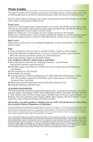 Photo Credits
All images that appear in this brochure, except those in the public domain, are the property of the orig-
inal photographer and are used here by direct permission or under the terms of the specified license.

David G. Smith’s photos of Delaware native plants, used throughout much of this booklet, can be found
on his website: www.delawarewildflowers.org
Front Cover:
Top row (l-r): New England Aster, Symphyotrichum novae-angliae, PA DCNR Forestry Archive, Bug-
wood.org (Licensed under: http://creativecommons.org/licenses/by/3.0/us/); Bumble bee (Bombus sp.)
on Sweet Pepperbush, Clethra alnifolia, David G. Smith.
Middle row: Digger bee, Svastra obliqua on Aster, Symphyotrichum sp., Dan Tenaglia.
Bottom row (l-r): Polyester bee, Colletes eulophi on Goldenrod, Solidago sp., Edward Trammel; North-
ern Dewberry, Rubus flagellaris, David G. Smith; Blue Vervain, Verbena hastata, David G. Smith.
Back Cover:
Soldier beetle Chauliognathus sp. and Skipper, Hesperiidae, on native Field Thistle, Cirsium discolor,
David G. Smith.

Page:
1: Large carpenter bee, Xylocopa virginica on False Foxglove, Agalinis sp., Dan Tenaglia.
2: Sweat bee, Halictidae on Spring Beauty, Claytonia sp., Edward Trammel; Long-horned bee,
   Melissodes druriella on Golenrod, Solidago sp., Edward Trammel.
4: Bee forage planting in Delaware, Randolph Ciurlino.
6-20: All photos by David G. Smith except as noted below.
9: Dense Blazing-star, Frank Wouters, Wikimedia Commons. Licensed under:
   http://creativecommons.org/licenses/by/2.0/
10: Wild Blue Lupine, Steven Katovich, USDA Forest Service, Bugwood.org; Wild Bergamot,
    Dan Tenaglia.
12: New England Aster, Dan Tenaglia.
16: Red Maple, Dan Tenaglia.
17: Cockspur Hawthorn, Robert H. Mohlenbrock @ USDA-NRCS PLANTS Database / USDA
    SCS. 1991. Southern wetland flora: Field office guide to plant species. South National
    Technical Center, Fort Worth.
18: Black Gum, Jean-Pol Grandmont; American Wild Plum, Quentin Cronk.
20: High Bush Blueberry, Quentin Cronk.

ACKNOWLEDGEMENTS:
The following people assisted by providing information or data, reviewing the manuscript, or providing
technical support: Sam Droege, USGS; Sally Griffith-Kepfer, NRCS; John Hilty; Rob Jean and Peter
E. Scott, Indiana State University; Doug Landis, Michigan State University; Lauren Morgens; T’ai
Roulston, University of Virginia; John Timmons, NRCS; Mace Vaughan, The Xerces Society. Layout:
Jennie Hess, State of Delaware Printing and Publishing Office.
This booklet was made possible by funding from the USDA Natural Resources Conservation
Service and the Delaware Department of Agriculture.
The data and information in this booklet, Delaware Native Plants for Native Bees, are provided "as is." Delaware Department of Agriculture (DDA)
and the Natural Resources Conservation Service (NRCS) make no warranty, express or implied, to any user including without limitation the im-
plied warranties of merchantability or fitness for a particular purpose of the information in this publication. DDA and NRCS will not be liable for
special, incidental, consequential, indirect or other similar damages. Reference to commercial products, trade names, organizations, or businesses
does not imply endorsement by DDA or NRCS or bias against those not mentioned.

The U.S. Department of Agriculture (USDA) prohibits discrimination in all its programs and activities on the basis of race, color, national
origin, age, disability, and where applicable, sex, marital status, familial status, parental status, religion, sexual orientation, genetic infor-
mation, political beliefs, reprisal, or because all or a part of an individual's income is derived from any public assistance program. (Not
all prohibited bases apply to all programs.) Persons with disabilities who require alternative means for communication of program
information (Braille, large print, audiotape, etc.) should contact USDA's TARGET Center at (202) 720-2600 (voice and TDD). To file a
complaint of discrimination write to USDA, Director, Office of Civil Rights, 1400 Independence Avenue, S.W., Washington, D.C. 20250-
9410 or call (800) 795-3272 (voice) or (202) 720-6382 (TDD). USDA is an equal opportunity provider and employer.




                                                                      27
 