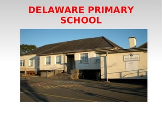 DELAWARE PRIMARY SCHOOL 