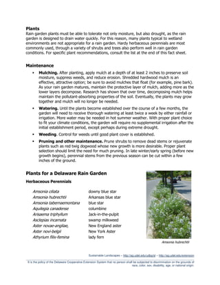 Plants
Rain garden plants must be able to tolerate not only moisture, but also drought, as the rain
garden is designed to drain water quickly. For this reason, many plants typical to wetland
environments are not appropriate for a rain garden. Hardy herbaceous perennials are most
commonly used, through a variety of shrubs and trees also perform well in rain garden
conditions. For specific plant recommendations, consult the list at the end of this fact sheet.


Maintenance
          Mulching. After planting, apply mulch at a depth of at least 2 inches to preserve soil
          moisture, suppress weeds, and reduce erosion. Shredded hardwood mulch is an
          effective, attractive option; be sure to avoid mulches that float (for example, pine bark).
          As your rain garden matures, maintain the protective layer of mulch, adding more as the
          lower layers decompose. Research has shown that over time, decomposing mulch helps
          maintain the pollutant-absorbing properties of the soil. Eventually, the plants may grow
          together and mulch will no longer be needed.
          Watering. Until the plants become established over the course of a few months, the
          garden will need to receive thorough watering at least twice a week by either rainfall or
          irrigation. More water may be needed in hot summer weather. With proper plant choice
          to fit your climate conditions, the garden will require no supplemental irrigation after the
          initial establishment period, except perhaps during extreme drought.
          Weeding. Control for weeds until good plant cover is established.
          Pruning and other maintenance. Prune shrubs to remove dead stems or rejuvenate
          plants such as red twig dogwood whose new growth is more desirable. Proper plant
          selection should limit the need for much pruning. In late winter/early spring (before new
          growth begins), perennial stems from the previous season can be cut within a few
          inches of the ground.


Plants for a Delaware Rain Garden
Herbaceous Perennials

     Amsonia ciliata                              downy blue star
     Amsonia hubrechtii                           Arkansas blue star
     Amsonia tabernaemontana                      blue star
     Aquilegia canadense                          columbine
     Arisaema triphyllum                          Jack-in-the-pulpit
     Asclepias incarnata                          swamp milkweed
     Aster novae-angliae,                         New England aster
     Aster novi-belgii                            New York Aster
     Athyrium filix-femina                        lady fern
                                                                                                              Amsonia hubrechtii


                                                  Sustainable Landscapes – http://ag.udel.edu/udbg/sl – http://ag.udel.edu/extension
_________________________________________________________________________________________________________
 It is the policy of the Delaware Cooperative Extension System that no person shall be subjected to discrimination on the grounds of
                                                                                   race, color, sex, disability, age, or national origin.
 
