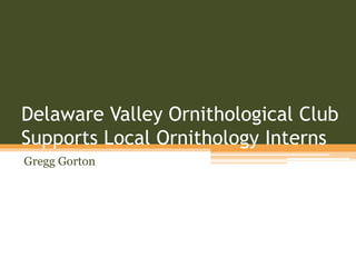 Delaware Valley Ornithological Club
Supports Local Ornithology Interns
Gregg Gorton
 