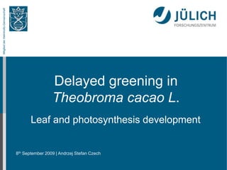 8th September 2009
MitgliedderHelmholtz-Gemeinschaft
Delayed greening in
Theobroma cacao L.
Leaf and photosynthesis development
| Andrzej Stefan Czech
 