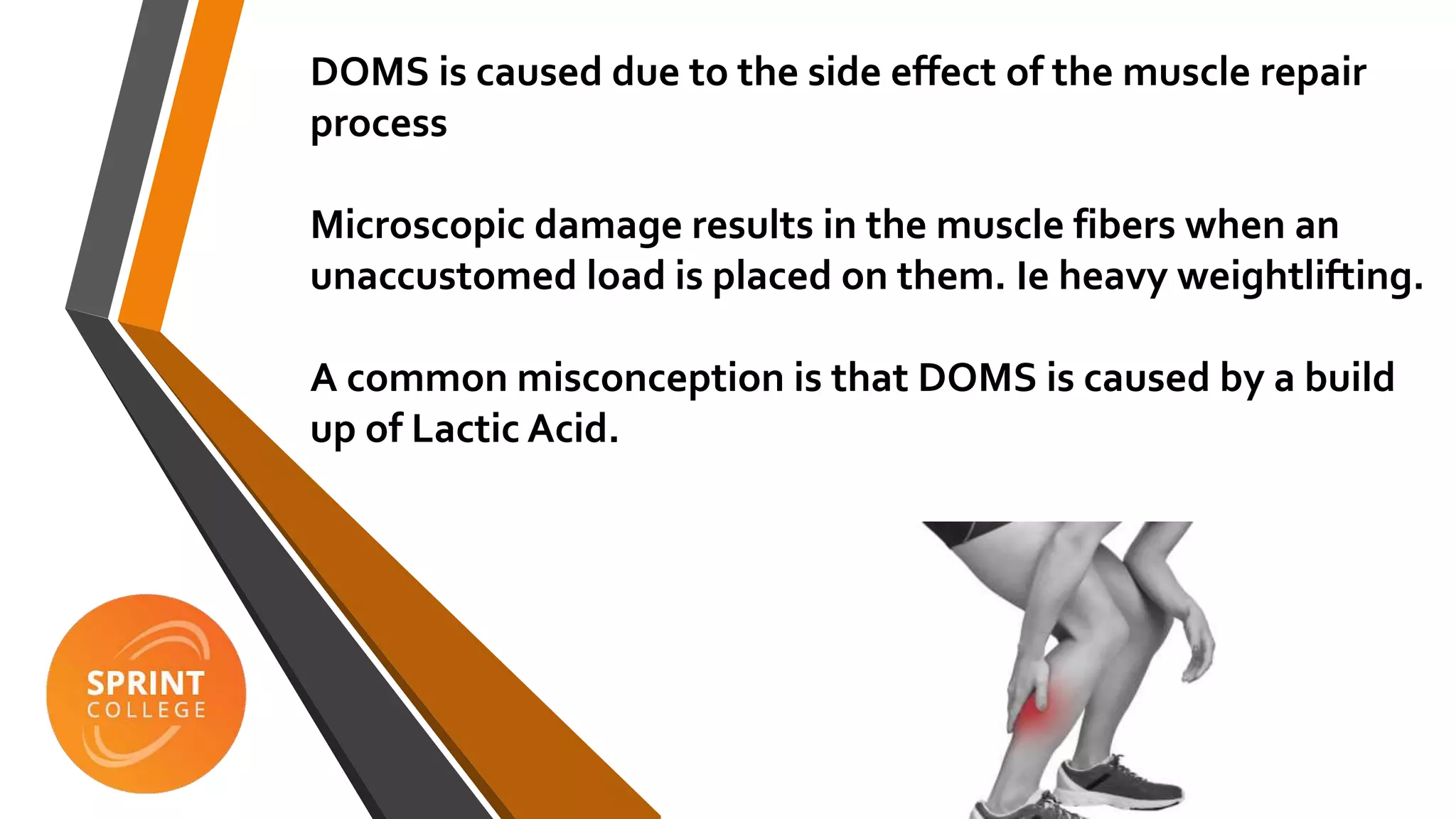 Delayed Onset Muscle Soreness PPT