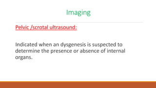 Imaging
Pelvic /scrotal ultrasound:
Indicated when an dysgenesis is suspected to
determine the presence or absence of internal
organs.
 