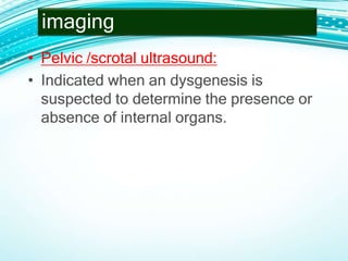 • Pelvic /scrotal ultrasound:
• Indicated when an dysgenesis is
suspected to determine the presence or
absence of internal organs.
imaging
 