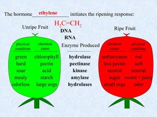 Delayed ripening by anurag patel 2889[svpua&t meerut] | PPT