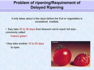 Delayed ripening by anurag patel 2889[svpua&t meerut] | PPT