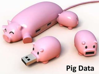 Pig Data
 