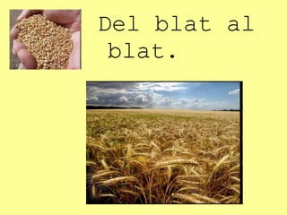 Del blat al
 blat.
 