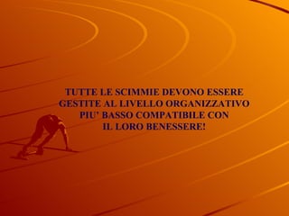 TUTTE LE SCIMMIE DEVONO ESSERE GESTITE AL LIVELLO ORGANIZZATIVO PIU’ BASSO COMPATIBILE CON IL LORO BENESSERE! 