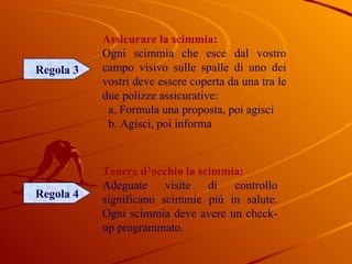 Regola 3 Assicurare la scimmia: Ogni scimmia che esce dal vostro campo visivo sulle spalle di uno dei vostri deve essere coperta da una tra le due polizze assicurative: a. Formula una proposta, poi agisci b. Agisci, poi informa Regola 4 Tenere d’occhio la scimmia: Adeguate visite di controllo significano scimmie più in salute. Ogni scimmia deve avere un check- up programmato. 