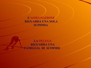 L’ ASSEGNAZIONE  RIGUARDA UNA SOLA SCIMMIA  LA   DELEGA RIGUARDA UNA FAMIGLIA  DI  SCIMMIE  