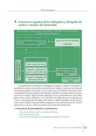 Estructura orgánica

4.	 Estructura orgánica de los delegados y delegadas de
padres y madres del alumnado

DELEGADOS Y DELEGADAS DE PADRES Y MADRES DEL ALUMNADO
ESTRUCTURA ORGÁNICA
CONSEJO ESCOLAR DE CENTRO
Equipo Directivo

ASOCIACIÓN DE PADRES
Y MADRES

Representantes de padres y madres

Asamblea de padres y
madres del aula

COMISIÓN DE AULA
Tutor otutora del aula
Delegado o delegada de
padres y madres del aula

Junta de delegados y
delegadas de padres y
madres

Delegado o delegada del
alumnado del aula

Escuela de padres y
padres

La finalidad de los delegados y delegadas de padres y madres es fomentar la
participación activa y democrática de los centros, facilitar y potenciar un clima de
convivencia positivo en el aula y en el centro entre los distintos miembros de la
comunidad educativa, implicar a las familias y hacerlas corresponsables de la educación de sus hijos e hijas, hacerlas partícipes en los acontecimientos que suelen
darse en los centros educativos, etc., todo ello, con objeto de que nos aporten su
visión y sus propuestas de mejora. Por tanto, no deben quedarse en los centros
como entes aislados, sino que deben integrarse en las estructuras de los centros
educativos y, a su vez, crear sus propias estructuras de coordinación.
1. Estructuras de participación y coordinación:
	 Asamblea de padres y madres del aula
La
	 comisión de aula.
La
	 junta de delegados y delegadas de padres y madres.
La

Delegados y Delegadas de Padres y Madres.

55

 