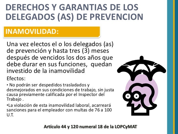 Garantias De Los Delegados Garantias De Los Delegados