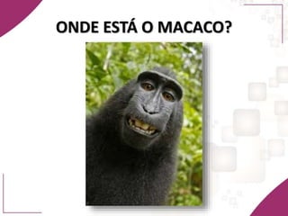 ONDE ESTÁ O MACACO?
 