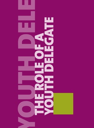 Guide to Youth Delegates to the United Nations | PDF