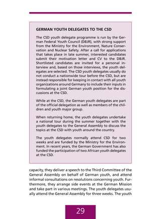 Guide to Youth Delegates to the United Nations | PDF