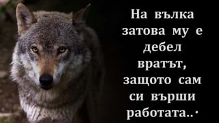 На вълка
затова му е
дебел
вратът,
защото сам
си върши
работата...
 