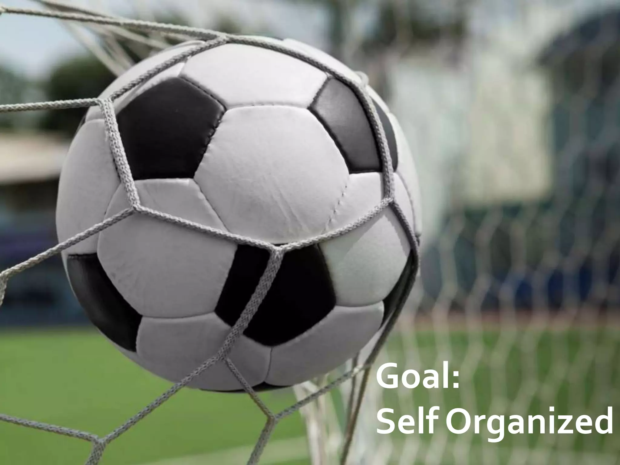 Goal: 
Self Organized Team 
 