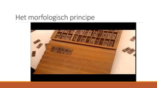 Het morfologisch principe
 
