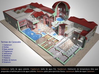 Caldarium: baño de agua caliente. Frigidarium: baño de agua fría. Tepidarium: Habitación de temperatura tibia que
preparaba al bañista para la de agua caliente. Palestra: patio para ejercicios físicos. Laconicum: Baño de vapor. Solarium:
 