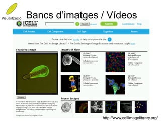 Visualització   Bancs d’imatges / Vídeos




                                http://www.cellimagelibrary.org/
 