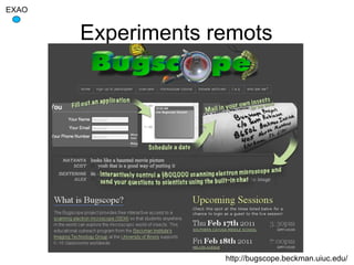 EXAO


       Experiments remots




                    http://bugscope.beckman.uiuc.edu/
 