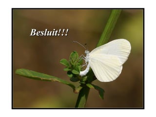 Besluit!!!Besluit!!!
 
