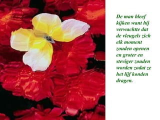 De man bleef
kijken want hij
verwachtte dat
de vleugels zich
elk moment
zouden openen
en groter en
steviger zouden
worden zodat ze
het lijf konden
dragen.
 