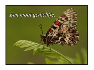 Een mooi gedichtje.Een mooi gedichtje.
 