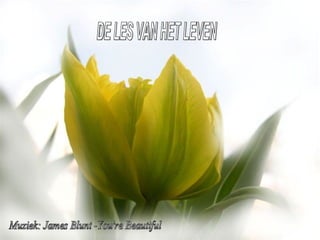 DE LES VAN HET LEVEN Muziek: James Blunt -You're Beautiful 