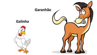 Garanhão
Galinha
 