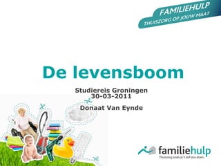 De levensboom
   Studiereis Groningen
       30-03-2011
    Donaat Van Eynde
 